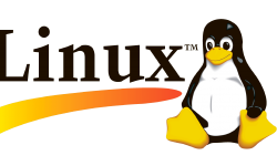 Featured image of post linux